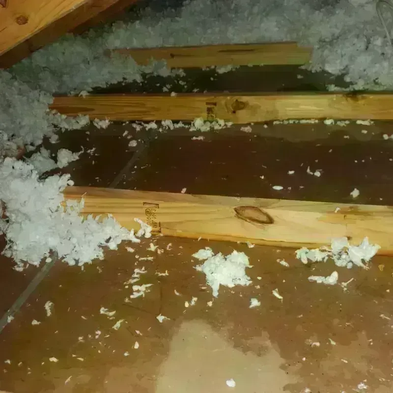 Attic Water Damage in Siloam Springs, AR